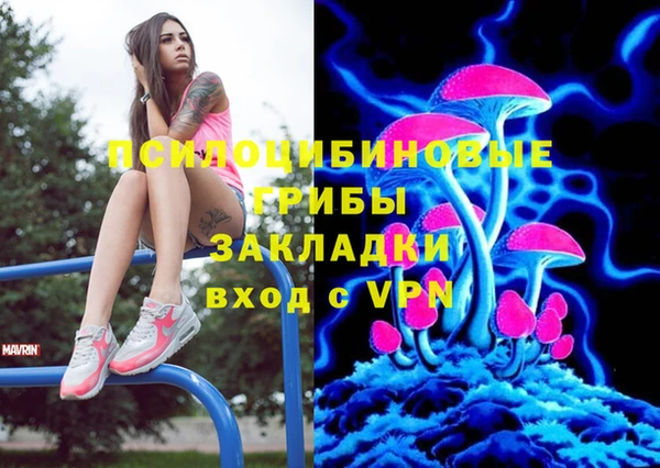 кокс Арсеньев