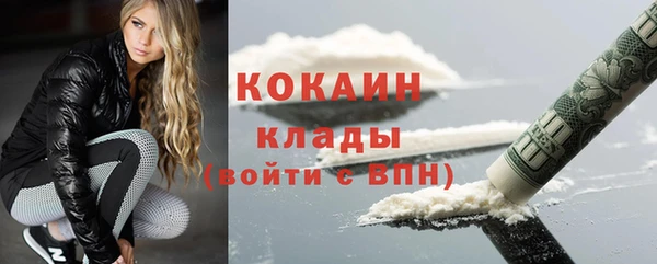 кокс Арсеньев