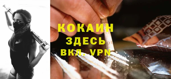 кокс Арсеньев