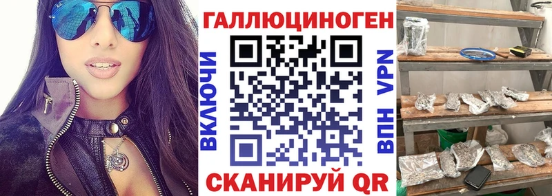 купить наркотик  Светлоград  Псилоцибиновые грибы Psilocybe 